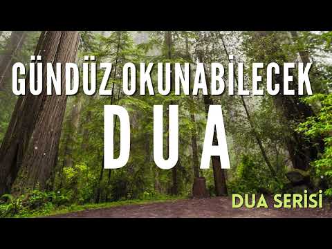 Gündüz Okunabilecek Dua… Allah’ım! Günahlarımızı Bağışla… Bizi Affet