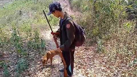 dib qaib qus lub 3 hlis ntuj sab roob dub thiab tua nraj