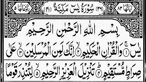 প্রতিদিন সকালে শুনুন - অন্তর শীতল করা কণ্ঠে সূরা ইয়াসীন | (سورة يس) Surah Yasin | Morning Tilawat