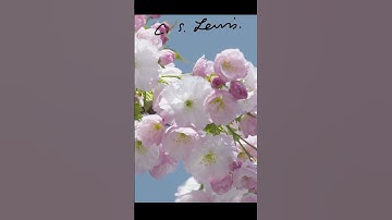 Hope is one of the theological virtues | C.S. Lewis