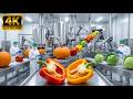 Farm to Factory Food Journey Explained | Food Processing, Agriculture, Supply Chain Documentary