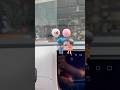 Video Image