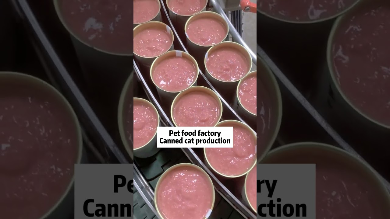 Canned meat production process. Pet food production factory. Pet snacks import and export wholesale