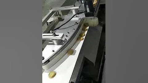two layer biscuits packaging machine line