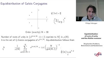 Philipp Habegger: Equidistribution of roots of unity and the Mahler measure