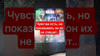 ‼️🔮Его истинные чувства к Вам🔮‼️ #таро #tarot #гадание