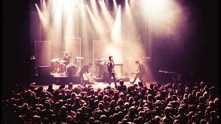 Lovebugs - Tour 2017 - Trailer