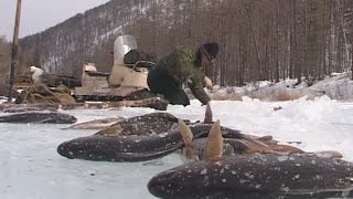 Будет рыба, Михалыч!!! Зимняя рыбалка в Прибайкалье.