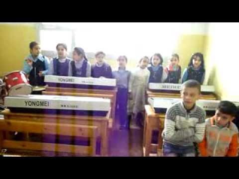 اتجريبية ك الطيور بتهاجر