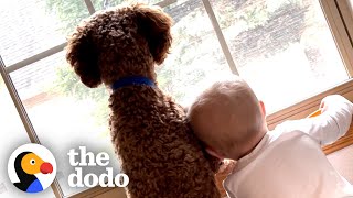 Puppy And Baby Raised Together Since Day One | The Dodo Soulmates