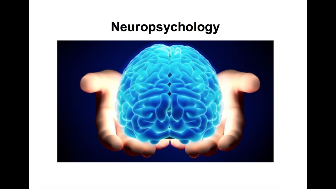 Neuropsychology 13.2: Emotion and the Brain