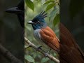 Lost in the serene beauty of the deep woods. 🌿✨ #CinematicArt #Bird #NatureMagic #AIAnimation