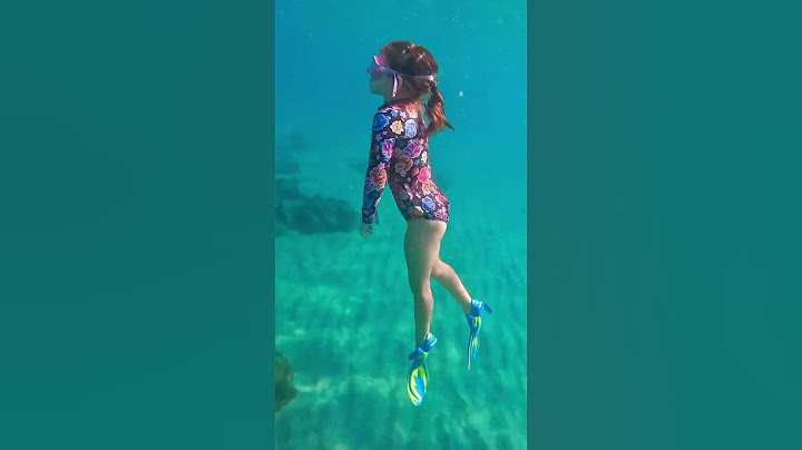 🤿 Freediving With Kids: 5 & 7 years old!!  #diving #seaturtle #freediving #plungewaterwear
