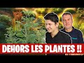 Comment multiplier tes plantes gratuitement cet t    floraquatic