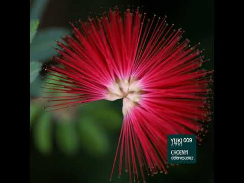choenyi — Choenyi - Mime Dub [Yuki Yaki]
