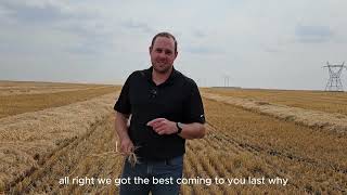 Tech-Driven Variable Rate Seeding: Maximizing Profit Per Acre Wealth