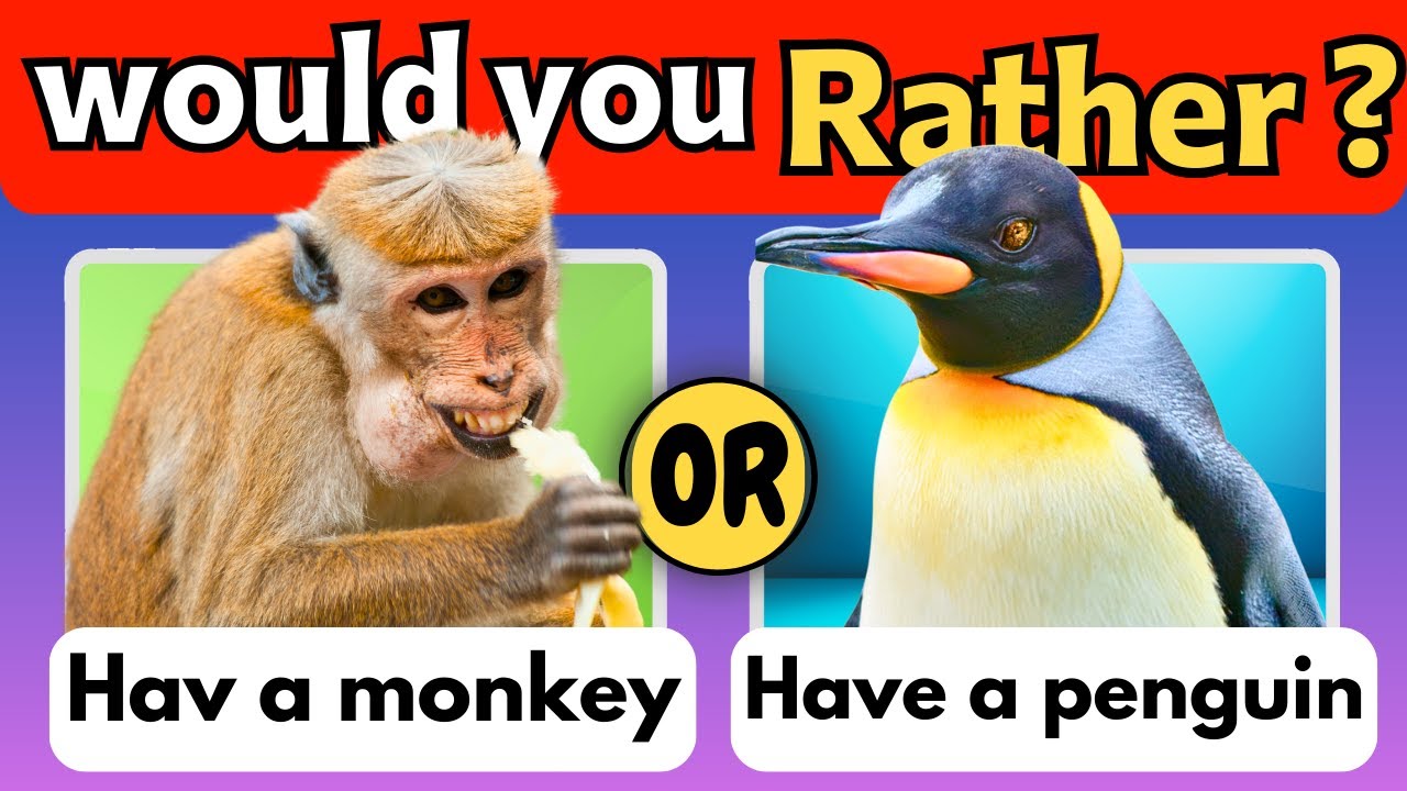 Would You Rather...? Animals Edition 🐶😺 pick one kick one animal quiz