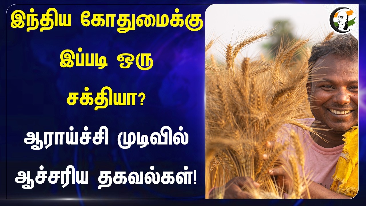 இந்திய கோதுமைக்கு இப்படி ஒரு சக்தியா? ஆராய்ச்சி முடிவில் ஆச்சரிய தகவல்கள் | New Milestone