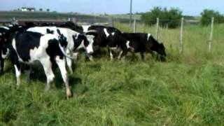 VID 00021 20131107 1100