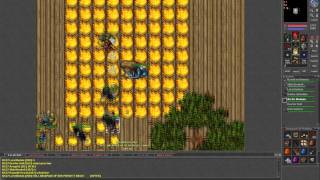 [Tibia 15 Years] Honera killing Count Tofifti twice