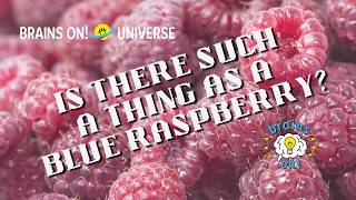 Is there such a thing as a blue raspberry | Brains On! (Full Episode) | A Science Show for Kids