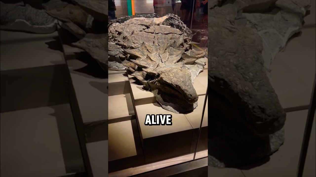 Scientists Found a Dinosaur So Accurate, They Thought It Was ALIVE! (Borealopelta Discovery)