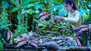 Have you ever eaten this snail? Spicy Snail Hean - Raise 14 Days Before Cook - Dalin Ancient Life