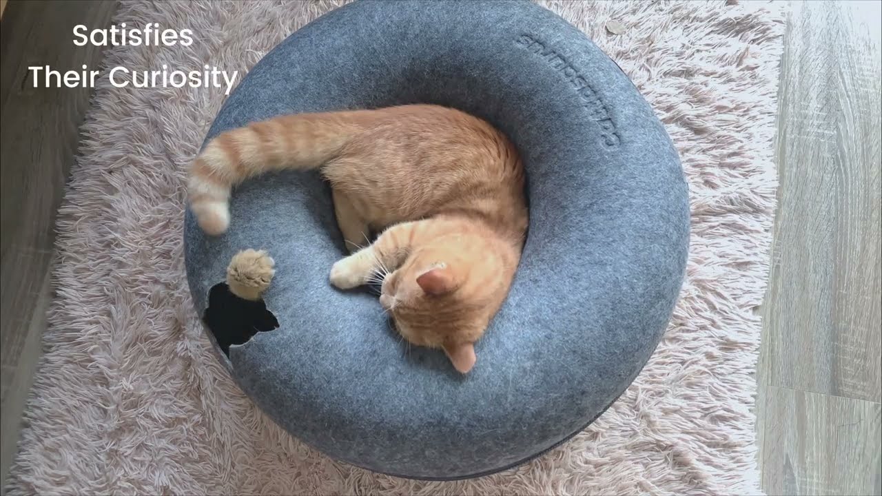 CATTASAURUS Peekaboo Cat Cave for Multiple Cats & Large Cats, for Cats Up to 30 Lbs