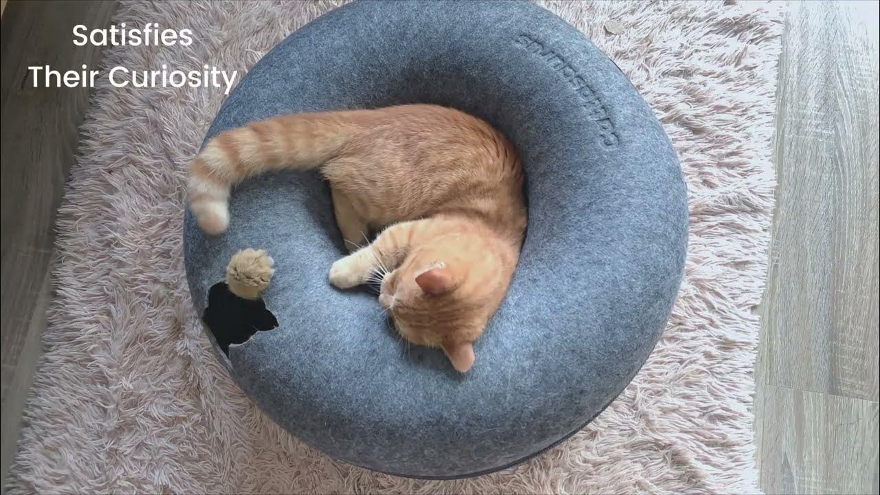 CATTASAURUS Peekaboo Cat Cave for Multiple Cats & Large Cats, for Cats