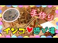 インコの遊び場☆手作り☆おもちゃ☆アスレチック☆ オカメインコ セキセイインコ ウロコインコ Budgerigar Cockatie Green-cheeked parakeet