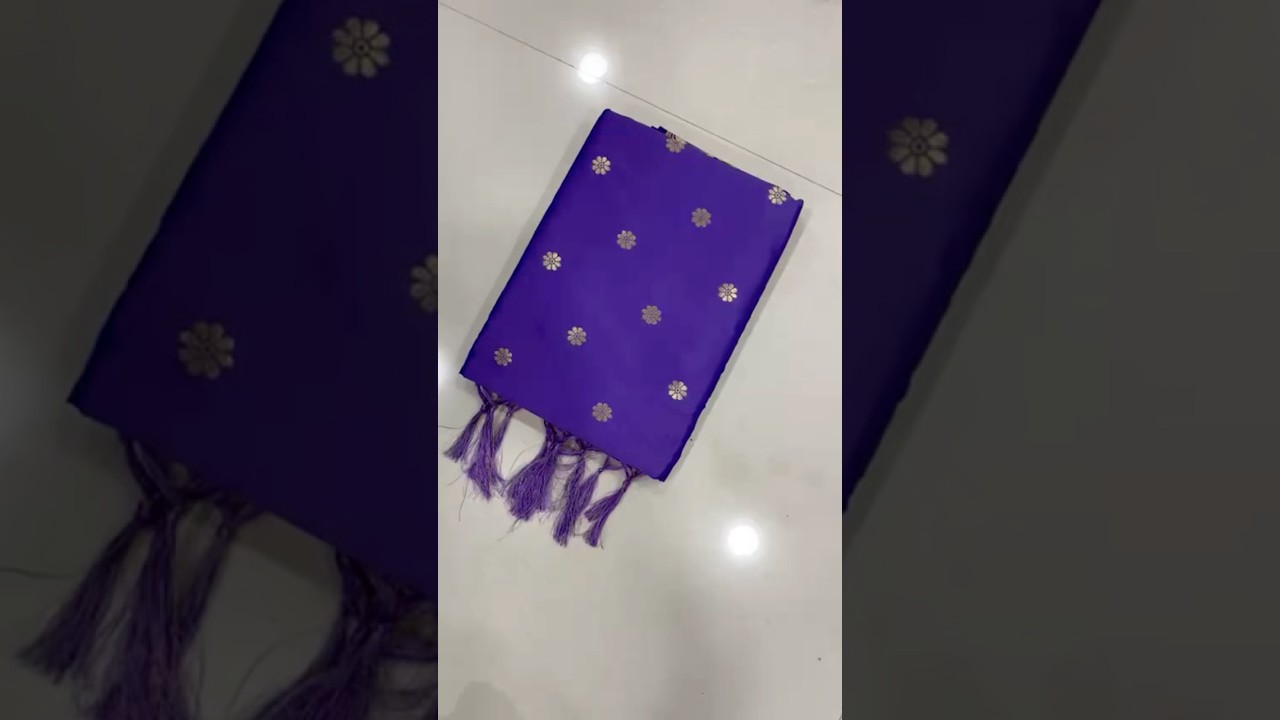 Pure Kanchipuram Paithani Silk Meenakari Saree