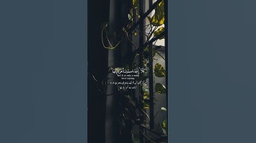 قرآن پاک کی سورة نمبر 23 المؤمنون آیت نمبر 99'100'101 | #quran #surah