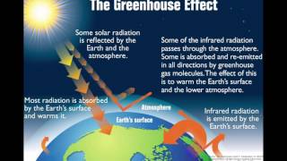 4.4 Climate Change (IB Biology) (Part 2)