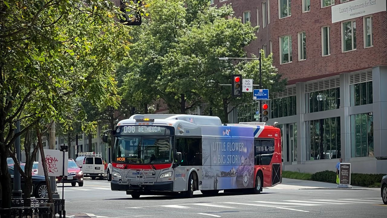 wmata-metrobus-2021-new-flyer-xd40-4595-on-route-d96-youtube