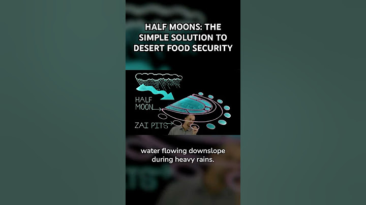 Half Moons: The Simple Solution to Desert Food Security