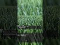 50 Million Acres on Pause