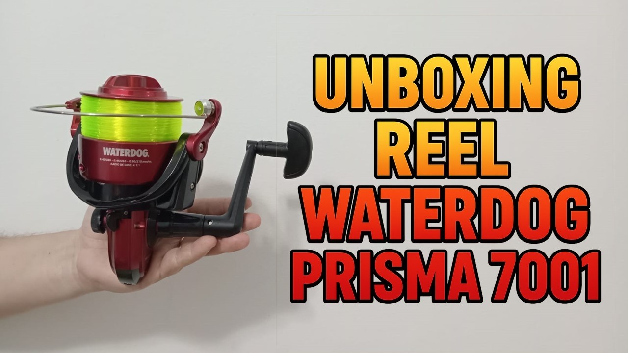 🎣 Unboxing del Reel Waterdog Prisma 7001 – Calidad a Bajo Precio