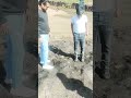 Daldali zameen ambikapur #funny #comedy#dance#reels #trending #viral#ambikapur #trytomakebestartist