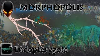Morphopolis Level 4 - Endopterygota / Beetle Mask / Plant Repair