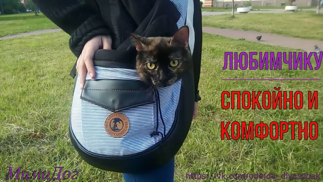 Пышку в машине