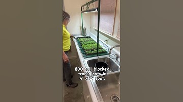 Our 4-foot grow light supports 800 3/4” small soil blocked plants