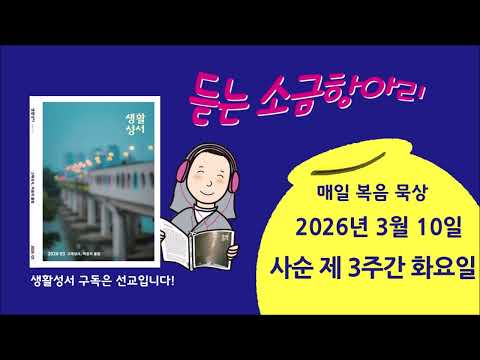 영상썸네일