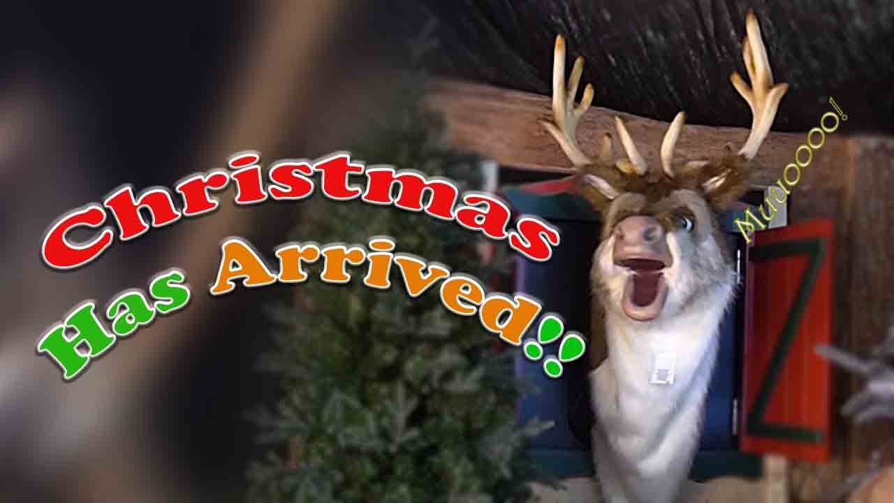 Christmas At Poundbury 2022 YouTube