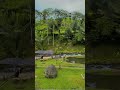 Spot Baru di Rancabali Ciwidey