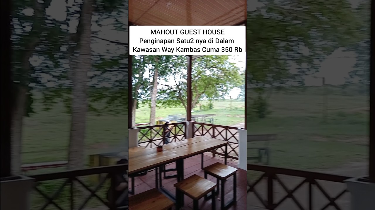 Penginapan di Dalam Kawasan Way Kambas - Permalam Cuma 350 Ribu 