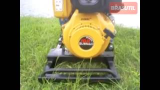 Motobomba Buffalo® BDFE 6' Brasutil