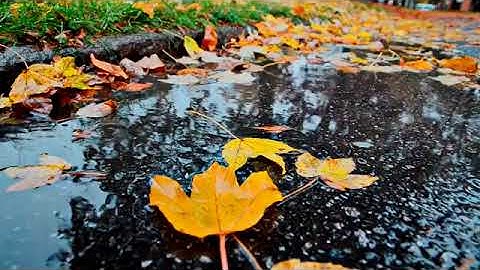 سورة الأنعام (111-150 )|تراويح رمضان 1439 هـ| بصوت الشيخ محمود العبد