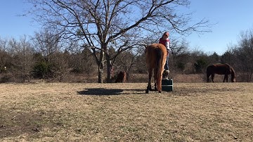 Parking by the mounting block