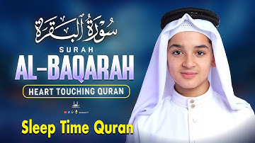 Surah Al Baqarah Full (سورة البقره) Abdullah Ahmed Shaaban | Most Heart Touching | Habibullah TV