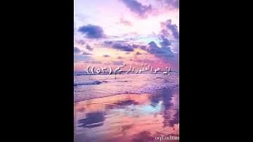 سورة:الزمر|آية(53)|القارئ:ياسر الدوسري